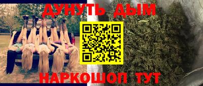 шишки Краснодар