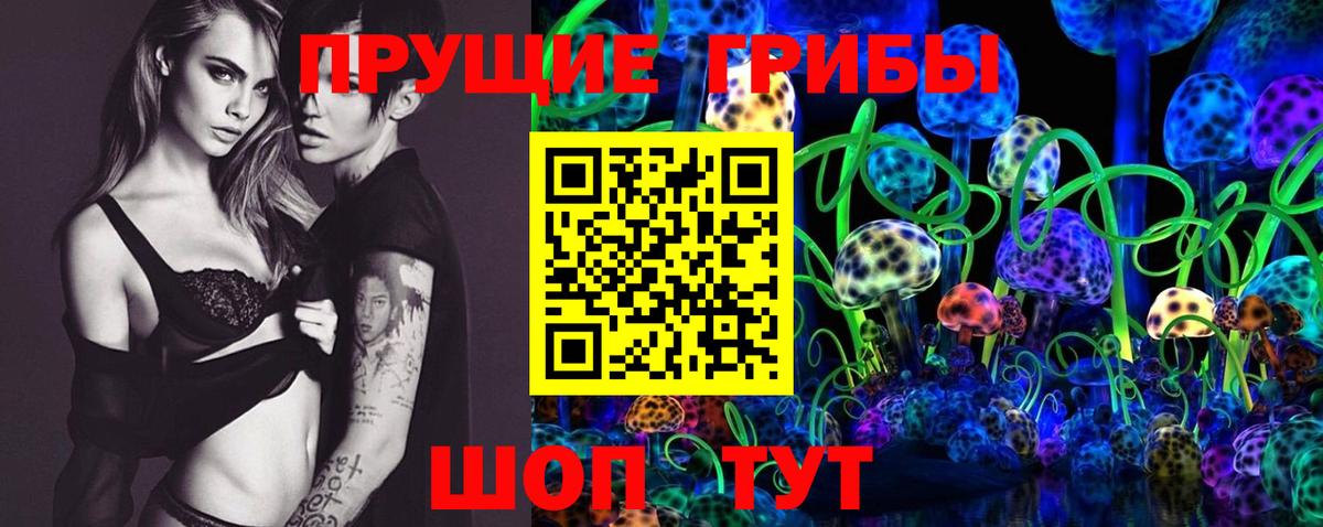 Кемерово  Псилоцибиновые грибы мицелий  Псилоцибиновые грибы Psilocybine cubensis  Вход с VPN 